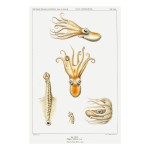 Ocean 20 Art Print