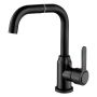 Flexible Black Basin Mixer Tap Faucet 0616B