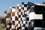 Nguni Hide Cushions - Checkered - Brown & White Small Square
