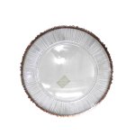 Rose Gold Rim Transparent Underplate