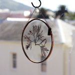 Velt Botanical Frame - Seaweeds - 15CM X 15CM Round