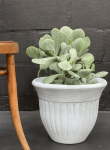 Nancy Garden Pot