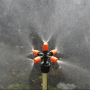 1PC Lawn Sprinkler Garden Sprinkler 360 Degree Five Outlet Nozzle Irrigation Grass Water Sprinkler System Garden Hose Sprinkler Dedusting Humidifying For Yard Garden Spray