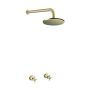 Premium Quality Brushed Gold Shower Set With Dual Handles