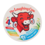 Medium Fat Cheese Spread 8 Pack