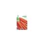 Seed Carrots Nantes 2 Franchi Sementi