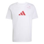 Adidas Men's Padel Category Graphic T-Shirt - White