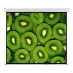 Esquire 300X169CM Electric Projector Screen CEW300