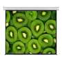 Esquire 300X169CM Electric Projector Screen CEW300