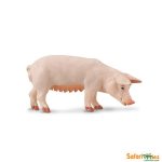 Farm Sow