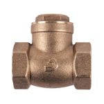 Torrenti Brass Check Swing Valve 50MM
