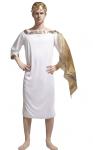 Greek Teen adult Costume