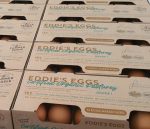 Eggs Eddies Free Range 12