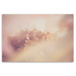 Blush Dreams 9 Art Print - A2 No Frame Print Only
