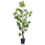 Lemon Tree 1 8M