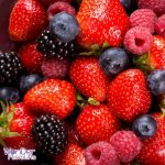 Bumbleberry Sc Concentrate - 10ML