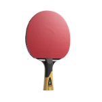 Premiere Table Tennis Bat