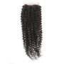 10 Inches Brazilian Water Curl 4X4 Three Parts Closure