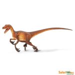Dinosaur Velociraptor