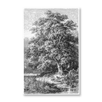 Antique Etching 6 Art Print - A1