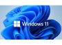 Microsoft Windows 11 Professional 64-BIT - DVD