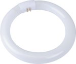 Osram F tube Circ 32W C white Bx PER12