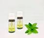Peppermint Oil 10ML