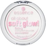 Essence All About Soft Glow Fixing Compact Powder Waterproof 8G