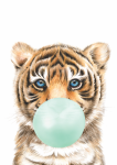 Bubble Gum Tiger - Wall Art Print Mint - A1