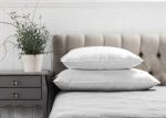 Lifson Hungarian Goose Down Pillows