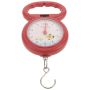 Portable Manual Hanging Scale For Food And Fishing With Plastic Handle