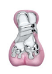 FLC9 - Ballet Shoes Floating Charm For Locket