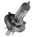 Globe Halogen H4 P43T 12V 60 55W Livestainable