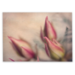 Blushing Bride 2 Art Print - A4 No Frame Print Only