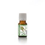 Hemlock Spruce Essential Oil Organic - 10 Ml
