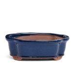 Assorted Glazed Bonsai Pots 6" - Blue Rectangle 15.5 X 12 X 5CM