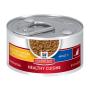 Feline Mature Adult Chicken & Rice Stew Tin - 79G