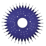 Zodiac Replacement Disc