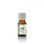 Carrot Seed Essential Oil Organic - 10 Ml - Organic