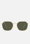 Evolution 0RB3694 55 Sunglasses - Gold