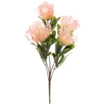 Pink Pin Cushion Bunch Protea 39CM