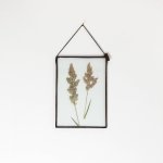 Velt Botanical Frame - Wild Grasses - 14.8CM X 21CM A5
