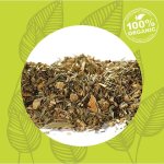 Ayuvital Ginger Fresh 60GR Organic