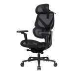 THUNDERX3 Flex Pro Ergonomic Chair - Mesh Black TEGC-3076101.12 .