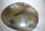 Agate Bonded With Aquatic Plants