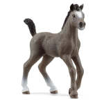 Horse Club - Selle Francais Foal