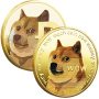 Dogecoin Commemorative Coin Physical Dogecoin Coins Gold Plated Limited Edition Collectible Non-currency Coin Doge Collectors Doge Souvenir Money Coin With Protective Case 5PCS