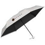 Rainmate Compact Umbrella - Sage