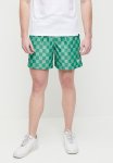 Nike Club Flow Shorts Checkers - Malachite & White