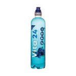 Vita 24 Water 500ML Blueberry